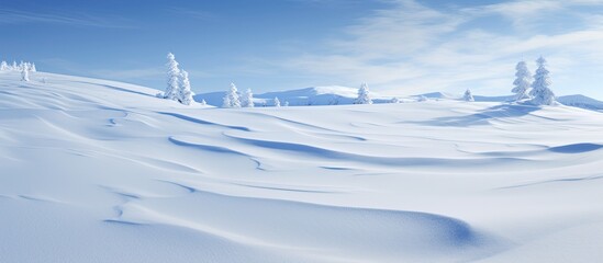Winter landscape with snowy ground and wind sculpted patterns on the snow surface creating a wide panoramic background The natural snow texture adds to the beauty of the copy space image