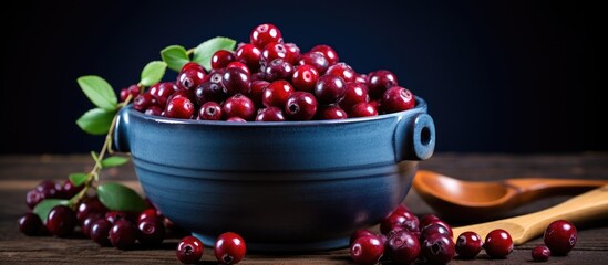A blue ceramic bowl filled with ripe cranberries sits on a dark wooden background accompanied by a small wooden spoon and scattered berries Copy space image