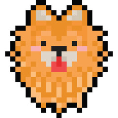 Pixel art cartoon pomeranian dog head icon