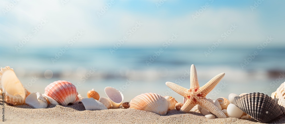 Poster a beach summer background featuring seashells sea stars and coral with plenty of copy space for an i