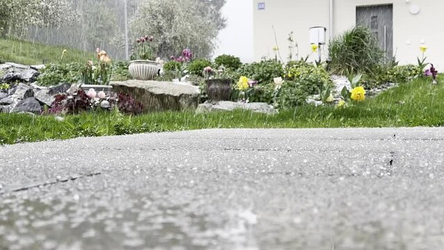 close up hailstorm in the garden during the day