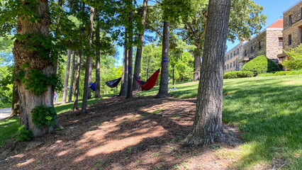 Hammocks Hanging by the Lake Path