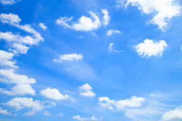 青い空と白い雲　　/巻雲（すじ雲/cirrus cloud/）