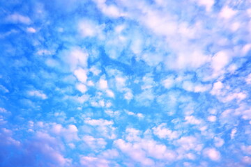 青空に浮かぶ白い雲