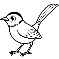 illustration of a bird