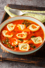 Tomato tortellini soup with vegetables and spinach close-up in a plate on the table. Vertical