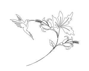 Continuous one line drawing of hummingbird with hibiscus flowers. Hummingbird is sucking the nectar out single outline vector design. Editable stroke.