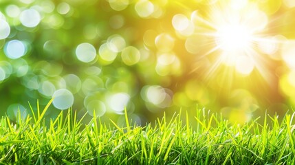 Obraz premium Abstract spring, summer grass meadow field. Beautiful fresh nature landscape environment.