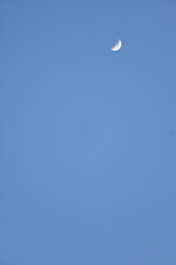 moon over the blue sky