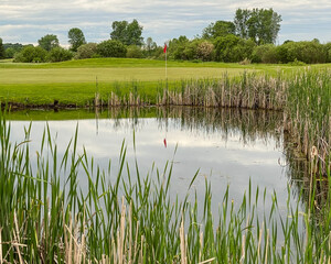 Golf Green with Red Flag Pin Water Hole in Late Spring