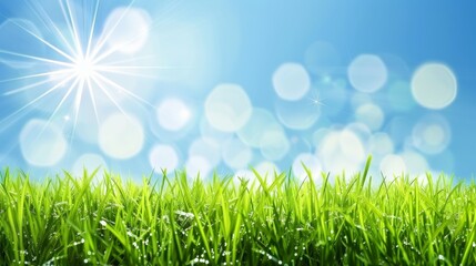 Obraz premium Abstract spring, summer grass meadow field. Beautiful fresh nature landscape environment.