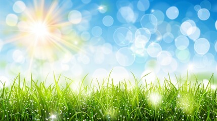 Obraz premium Abstract spring, summer grass meadow field. Beautiful fresh nature landscape environment.