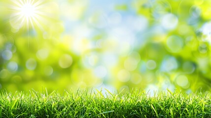Obraz premium Abstract spring, summer grass meadow field. Beautiful fresh nature landscape environment.