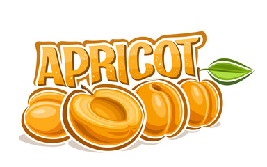 Vector logo for Apricot, decorative horizontal poster with outline illustration of apricot composition with green leaf on stem, cartoon design fruity print with chopped apricots on white background