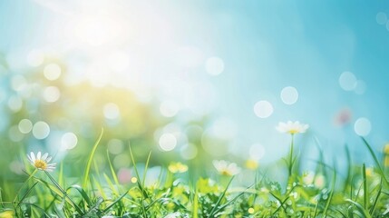 Obraz premium Abstract spring, summer grass meadow field. Beautiful fresh nature landscape environment