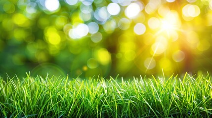 Fototapeta premium Abstract spring, summer grass meadow field. Beautiful fresh nature landscape environment