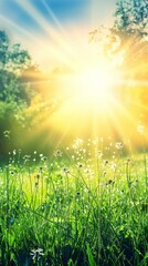 Obraz premium Abstract spring, summer grass meadow field. Beautiful fresh nature landscape environment