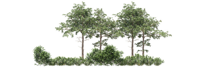 Various types of tree branch plants bushes shrub and and small plants isolated	
