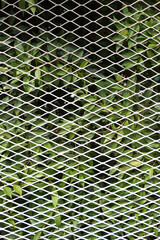 white cage metal net front the palm tree in the park