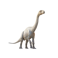 A large dinosaur standing on a white background