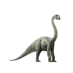A large dinosaur is standing on a white background