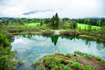 View of the natural lake Zelenci in Kranjska Gora, Slovenia.