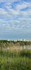 Obraz premium view of the city lake and sky