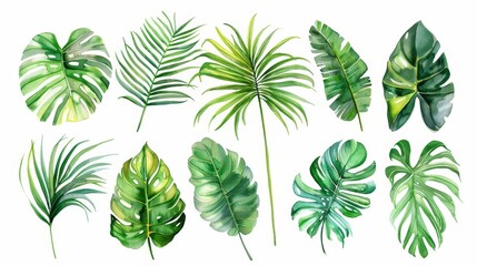 Fototapeta premium Watercolor illustration of a collection of palm leaves, each leaf detailed and lush, set dramatically against a pristine white background