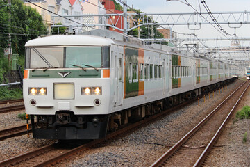 Fototapeta premium 特急電車 185系 踊り子