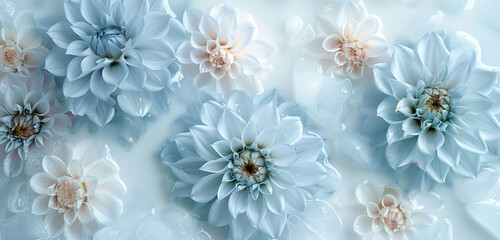 Tranquil abstraction powder blue dahlias in icy milk.