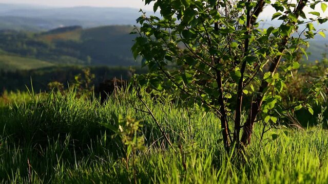 the siegerland and rothaar mountains in germany in spring 4k 25fps video