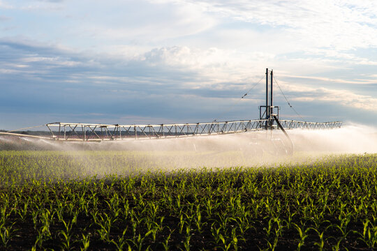 Agricultural irrigation system watering corn field