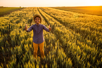 African farmer is standing in his growing wheat field. He is satisfied with progress of plants.