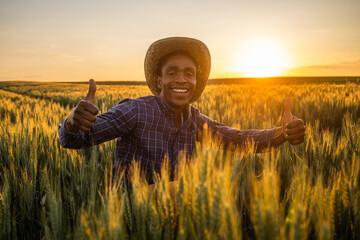 Portrait of african farmer in his growing wheat field. He is satisfied with progress of plants.