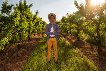 Portrait of african-american farmer in his orchard. He is cultivating plum.