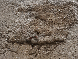 cracked cement covered with gray cement surface as background for design	