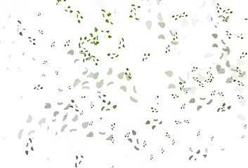 Light green vector background with abstract forms.