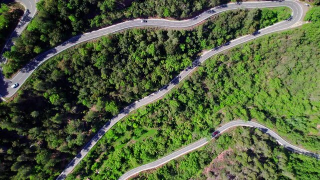 An aerial view of simetric green road with cars circulating. Aerial drone view 4.