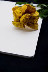 Withered flower placed on a notebook. A single dried rose and book with a feeling of loneliness,...