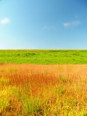 河川敷の草むらと除草された秋の江戸川土手風景