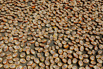 Full frame shot of ripe betel nut or Areca nut sliced in the sun drying