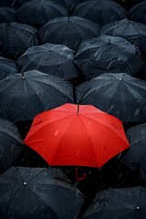 Distinct red umbrella amidst a sea of black umbrellas