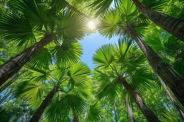 Fototapeta premium Palm Tree Forest in Tropical Paradise: Lush greenery with clear blue skies