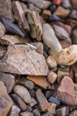 Close up of a pile of pebbles on the beach