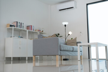 Modern living room interior with comfortable sofa and bookshelf