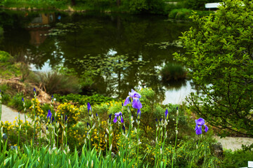 Alpinum in a botanical garden, tourist, hotspot