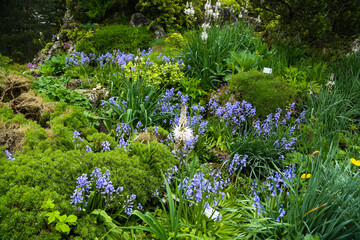 Alpinum in a botanical garden, tourist, hotspot