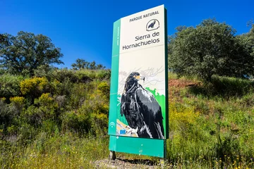 Fototapete Rund Naturpark Sierra de Hornachuelos Natural Park, province of Córdoba, Andalusia, Spain  © Tolo