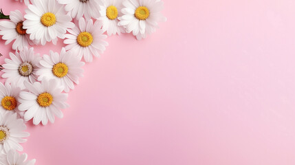 frame with flowers flowers on pink background wallpaper