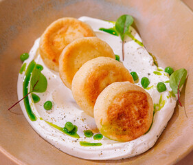 Gourmet cottage cheese pancakes on creamy sauce with greens